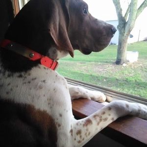 Meet your Posher, Stacy